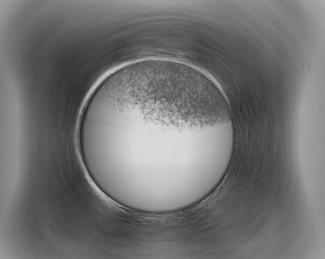 X0000116351531200912011028