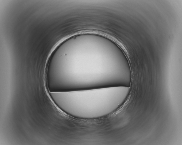 X0000116351533200912011028