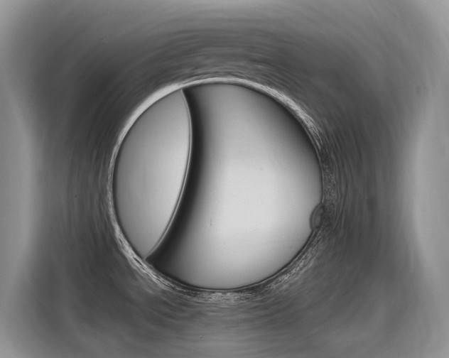 X0000116351534200912011028
