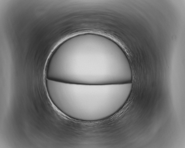 X0000116351535200912011028