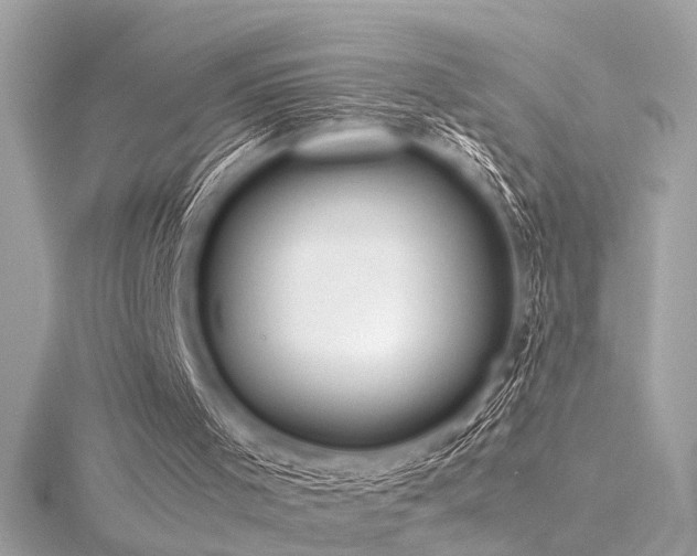 X0000116350001200912011420