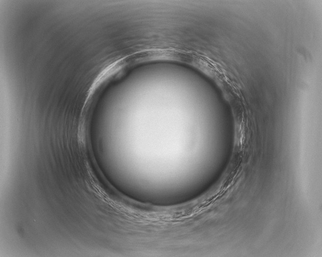 X0000116350004200912011420