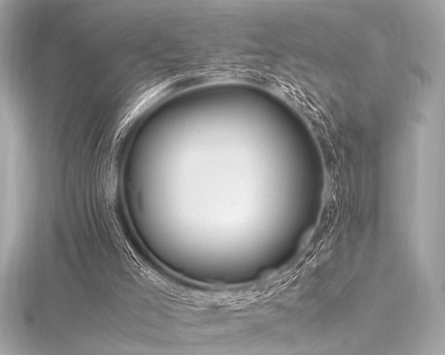 X0000116350005200912011420