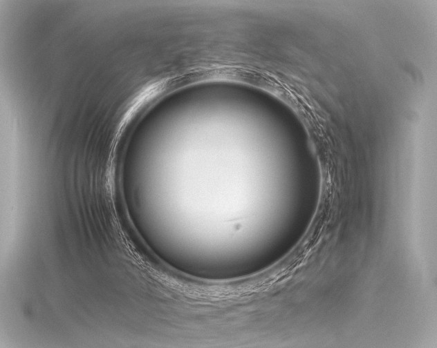 X0000116350006200912011420