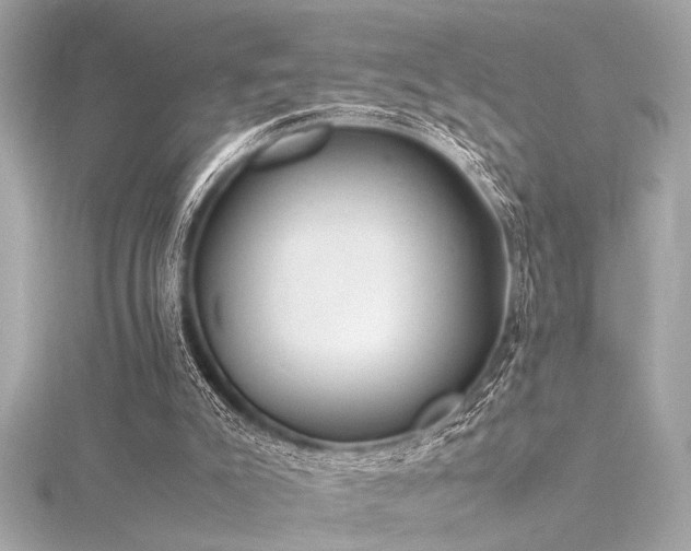 X0000116350007200912011420