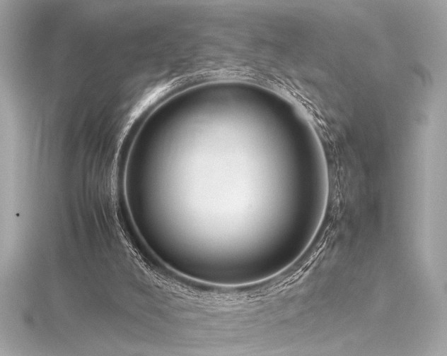 X0000116350008200912011420