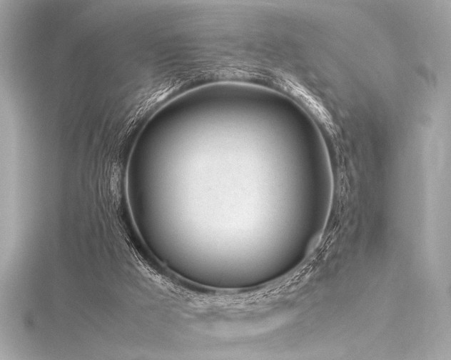 X0000116350009200912011420