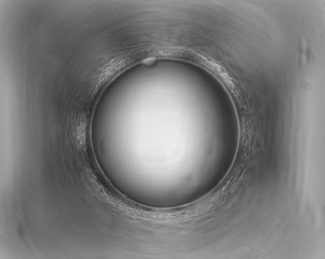 X0000116350010200912011420