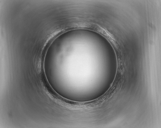 X0000116350012200912011420