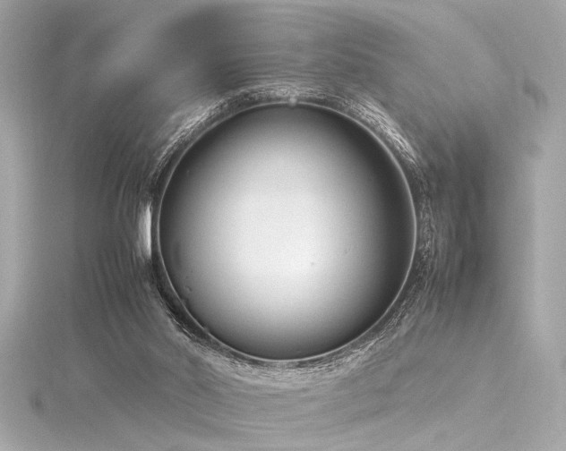 X0000116350014200912011420