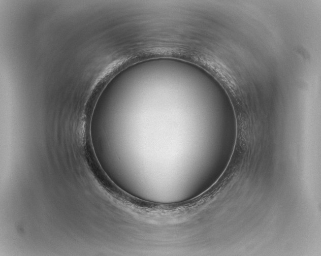 X0000116350016200912011420