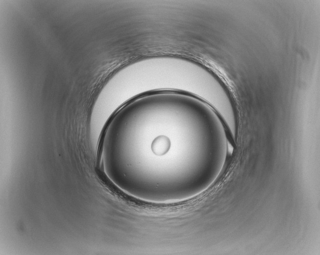 X0000116350017200912011420