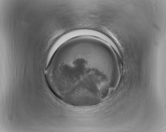 X0000116350019200912011420