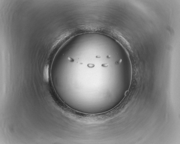 X0000116350020200912011420