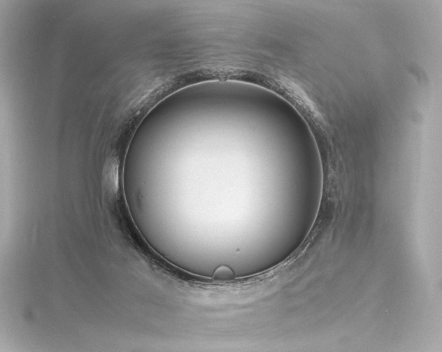 X0000116350021200912011420