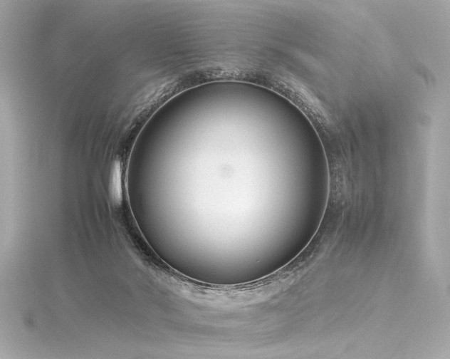 X0000116350022200912011420