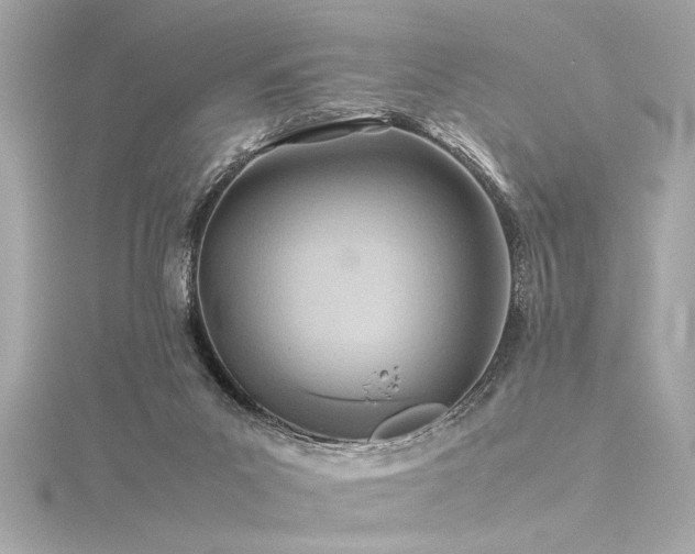 X0000116350023200912011420