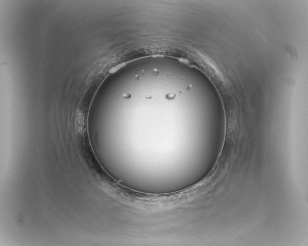 X0000116350025200912011420