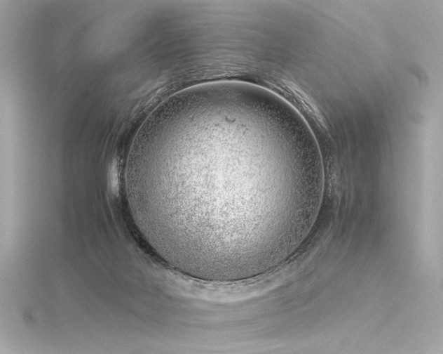 X0000116350026200912011419