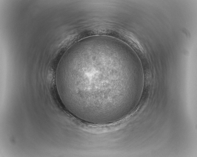 X0000116350029200912011419