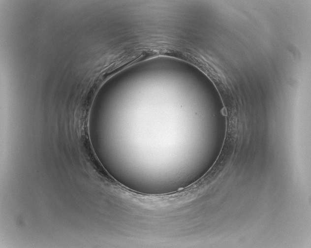 X0000116350030200912011419