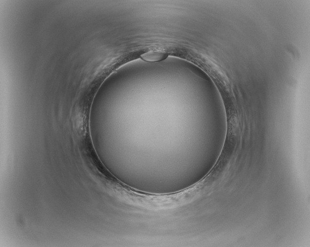 X0000116350031200912011419