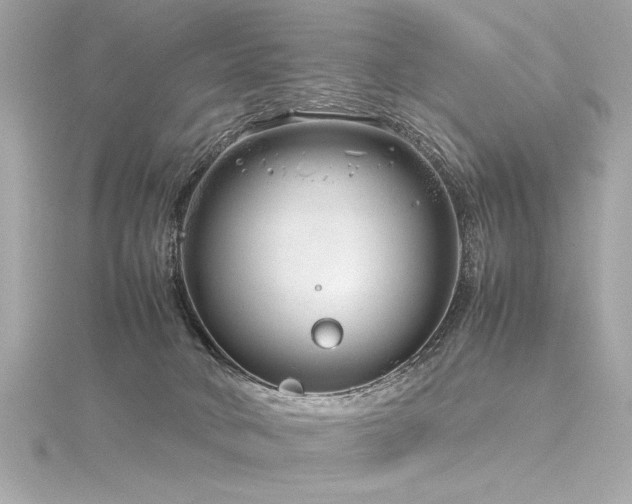 X0000116350034200912011419