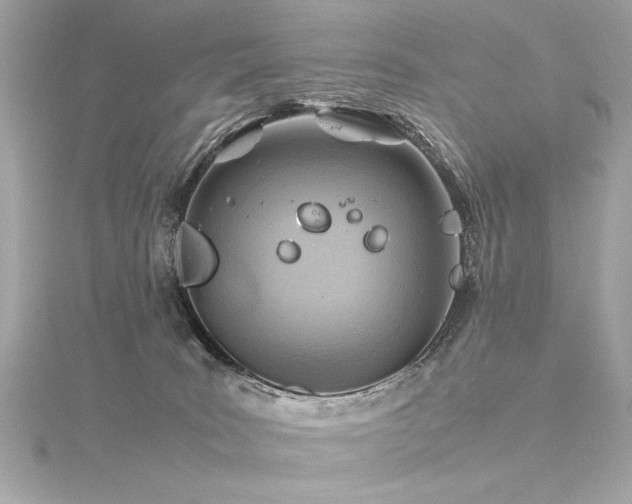 X0000116350035200912011419