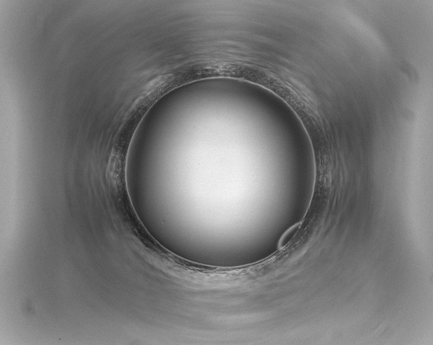 X0000116350036200912011419