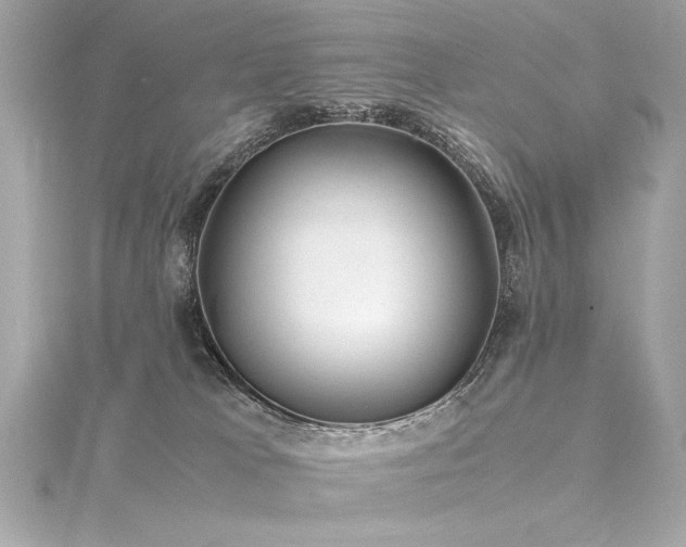 X0000116350037200912011419