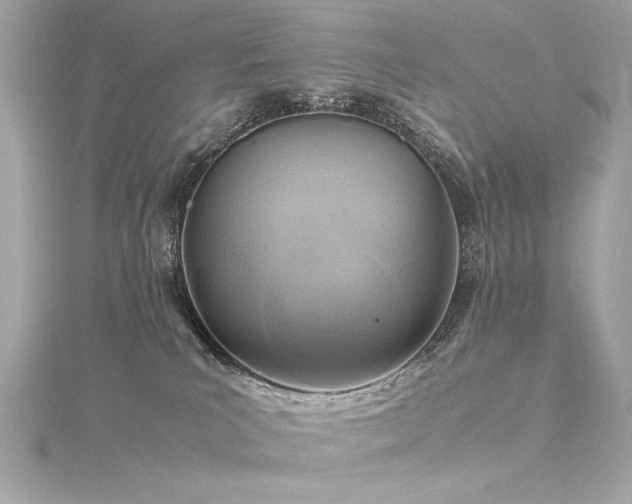 X0000116350039200912011419