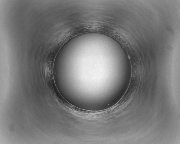 X0000116350040200912011419