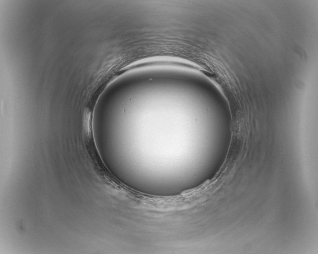 X0000116350041200912011419