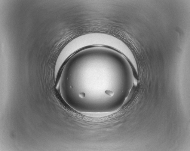 X0000116350043200912011419