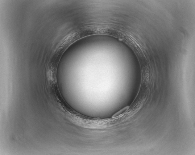 X0000116350044200912011419