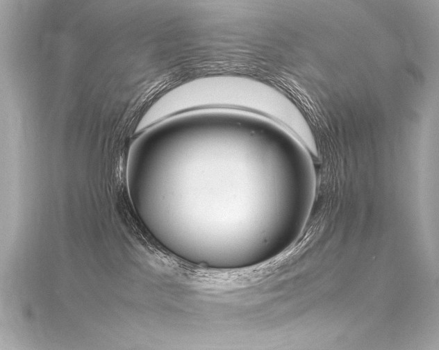 X0000116350045200912011419