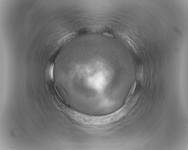 X0000116350047200912011419