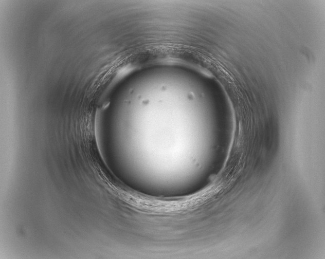 X0000116350048200912011419