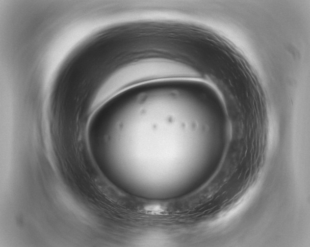 X0000116350050200912011418