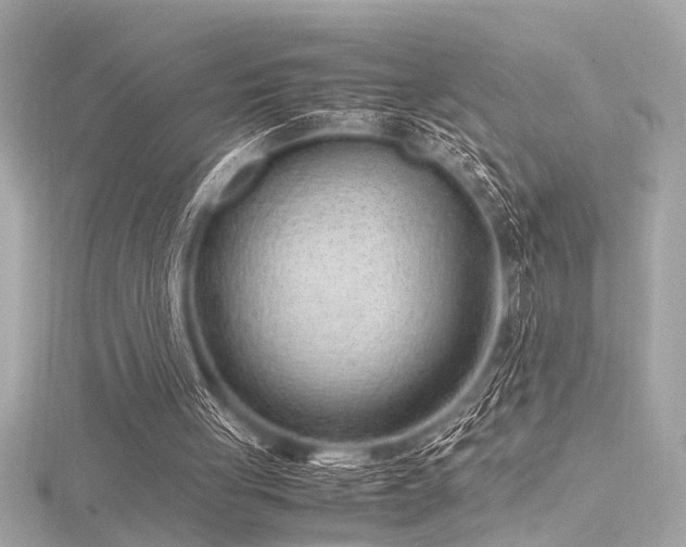 X0000116350051200912011418