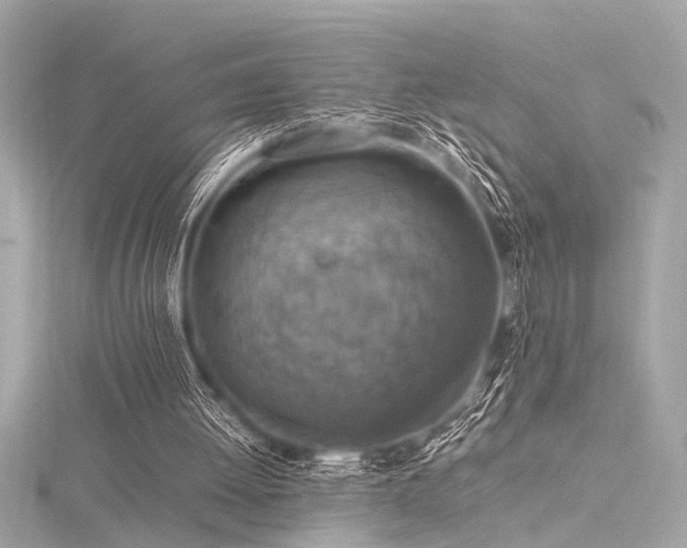 X0000116350052200912011418