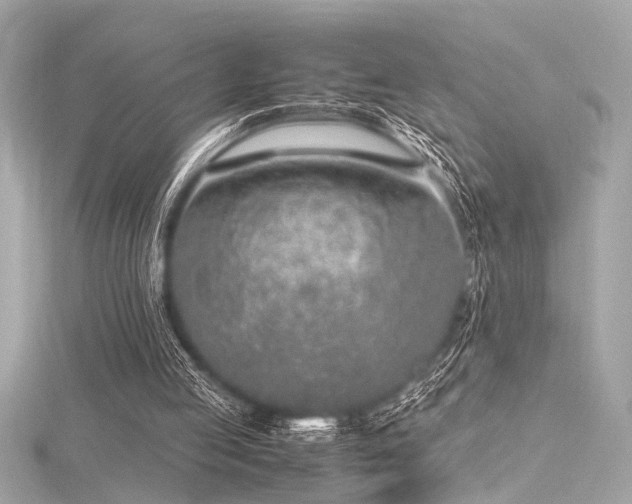 X0000116350053200912011418