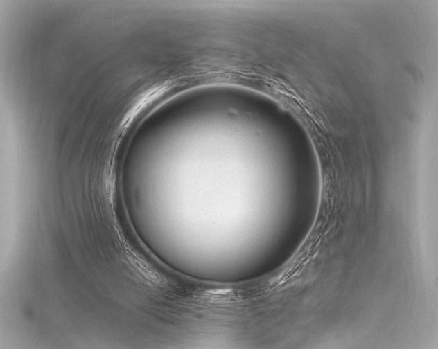 X0000116350054200912011418