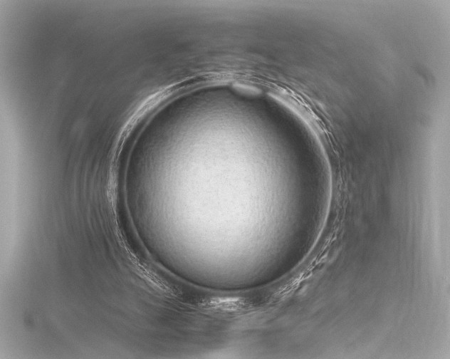 X0000116350055200912011418