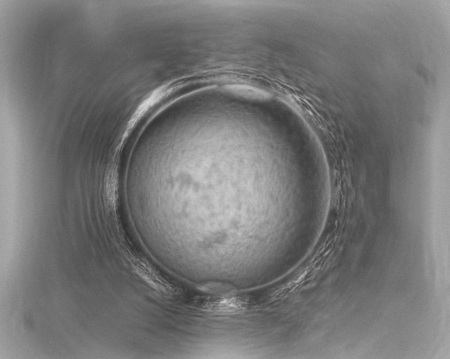 X0000116350056200912011419