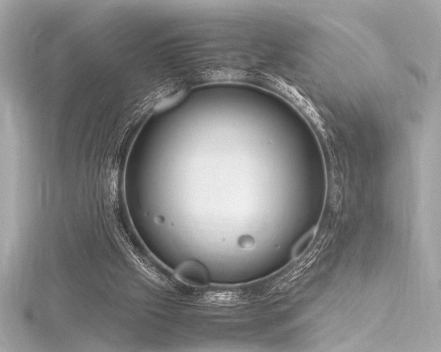 X0000116350057200912011419