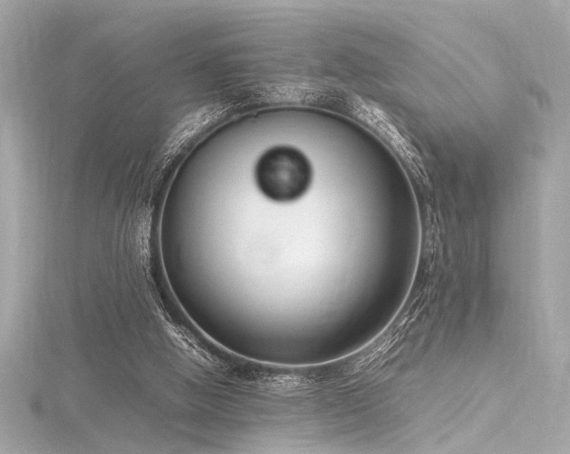 X0000116350058200912011419