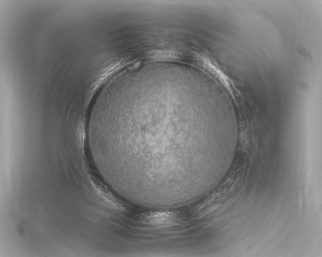 X0000116350059200912011419