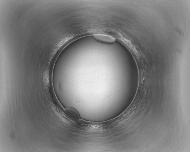 X0000116350060200912011419