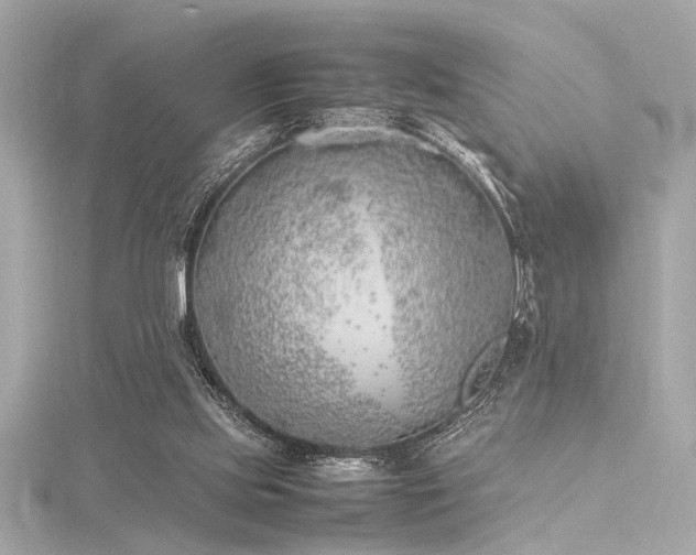 X0000116350061200912011419